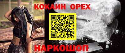 крисы Будённовск