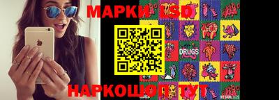 крисы Будённовск