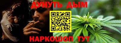 крисы Будённовск