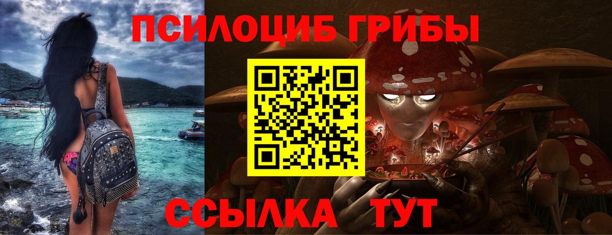 Галлюциногенные грибы Cubensis Чайковский