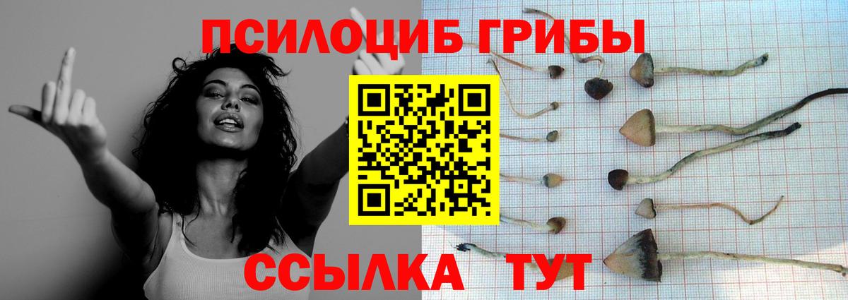 Псилоцибиновые грибы мицелий  Вход с VPN  Чайковский 